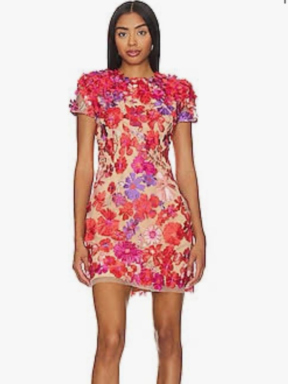 Elliatt Pink & Red Floral Appliqué Mini Dress